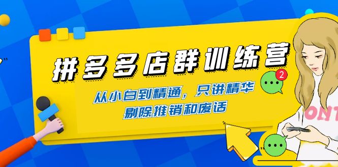 拼多多店群训练营：从小白到精通，只讲精华，剔除推销和废话-1950项目|专注资源教程分享