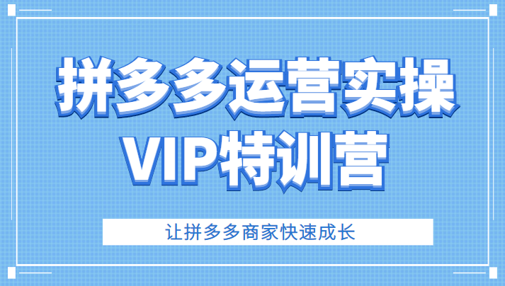 拼多多运营实操VIP特训营，让拼多多商家快速成长（价值3180元）-1950项目|专注资源教程分享