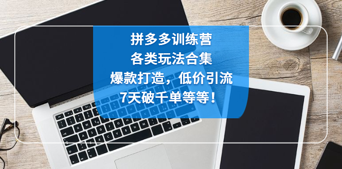 拼多多训练营：各玩法合集，爆款打造，低价引流，7天破千单等等-1950项目|专注资源教程分享