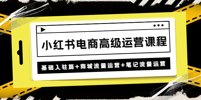 小红书电商高级运营课程：基础入驻篇+商城流量运营+笔记流量运营-1950项目|专注资源教程分享