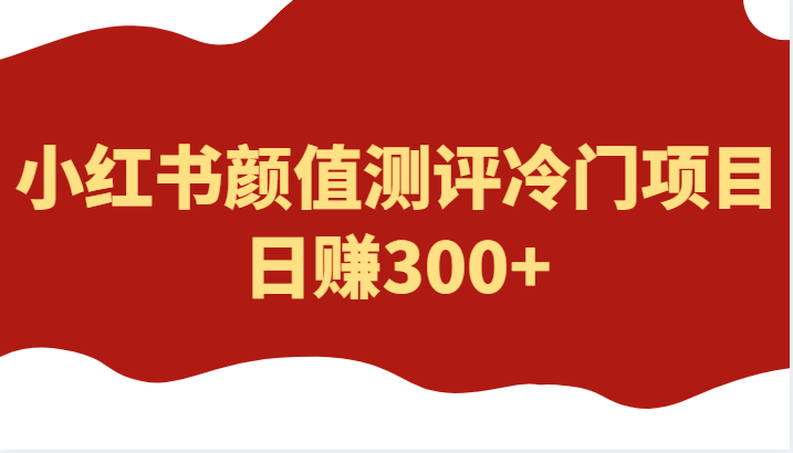 外面4980的项目，小红书颜值测评冷门项目，日赚300+-1950项目|专注资源教程分享